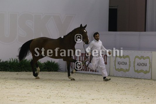 NADA BRAUN_MILANO_2010_SS3_3989.jpg